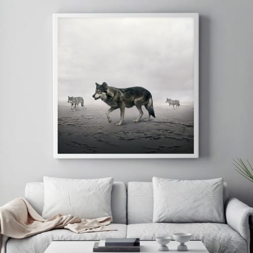 This Way Wolves | Photography by Alice Zilberberg