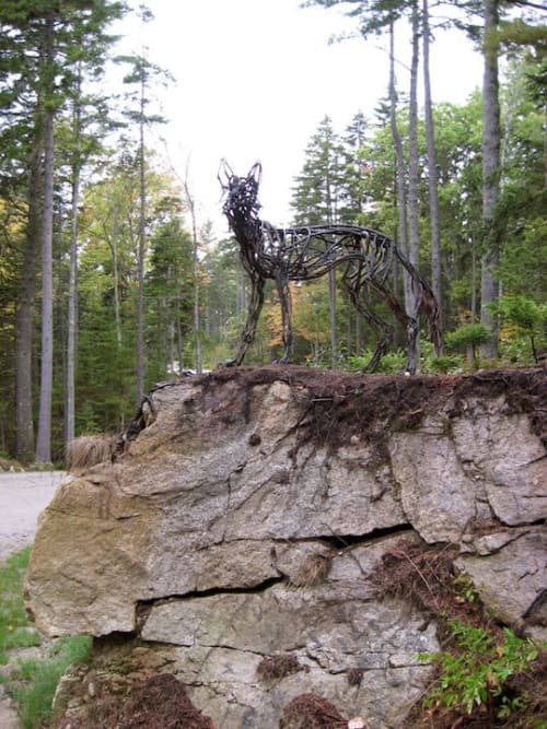 Wolves and Deer | Public Sculptures by Wendy Klemperer Art Inc | Coastal Maine Botanical Gardens in Boothbay