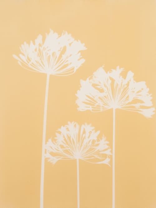 Three Yellow Agapanthus: 18x24" Original monotype /cyanotype | Etching in Paintings by Christine So