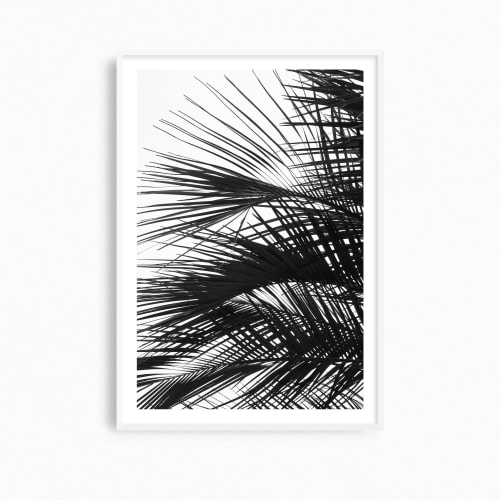 Minimalist palm tree wall art, 'Palm Fronds' photograph | Photography by PappasBland