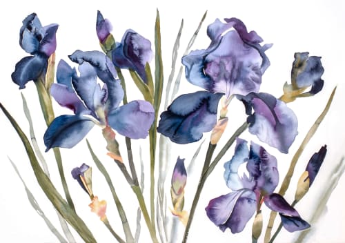 Irises : Original Watercolor Painting | Paintings by Elizabeth Becker