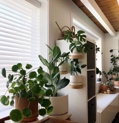 Round Two 8" Planters by LBE Design | Vases & Vessels by LBE Design | Work Hard Plant Hard in Encinitas