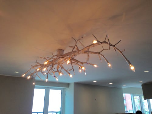 newGROWTH custom chandelier with crystals | Chandeliers by CP Lighting