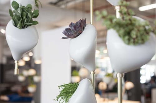 Hanging Window Gardens | Vases & Vessels by Danielle Trofe Design | Yoga Tribe Brooklyn in Brooklyn