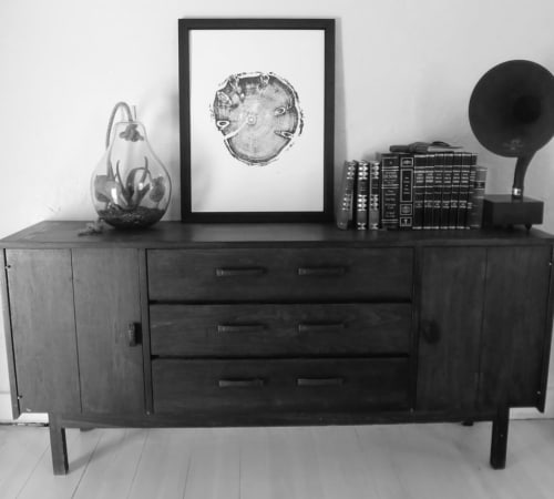 Wasatch Utah Pine | Prints by Erik Linton