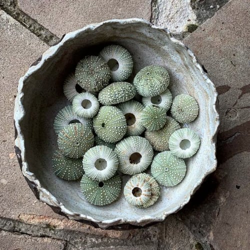 Handmade, Organic Bowl by All Fired Up Pottery seen at Creator's Studio