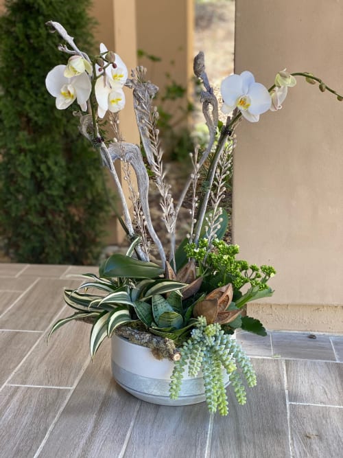 Pure white Orchid arrangement | Floral Arrangements by Fleurina Designs
