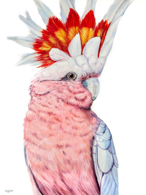 Major Mitchell Cockatoo, Australian King Parrot pair | Oil And Acrylic Painting in Paintings by Ebony Bennett - Birdwood Illustrations