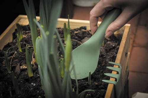 Green-It | Plants & Flowers by Viviana Degrandi | RIG-TIG in København