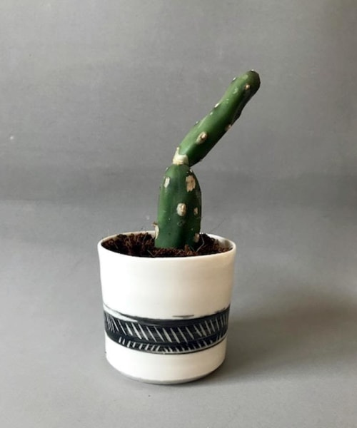 Small Porcelain Planter | Vases & Vessels by ShellyClayspot
