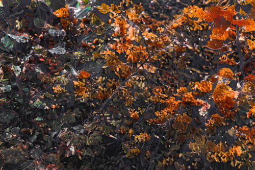 ATMOSFEAR (18"x12" — 60"x40") | Wall Art | Fine Art Print | Digital Art in Art & Wall Decor by Jess Ansik