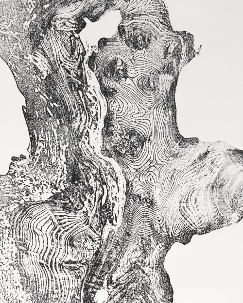 Redwood Tree Ring Print. 24x36 inches | Prints by Erik Linton