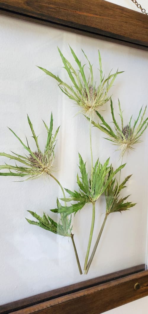 Thistle pressed flower botanical home decor gallery wall art | Decorative Objects by Studio Wildflower
