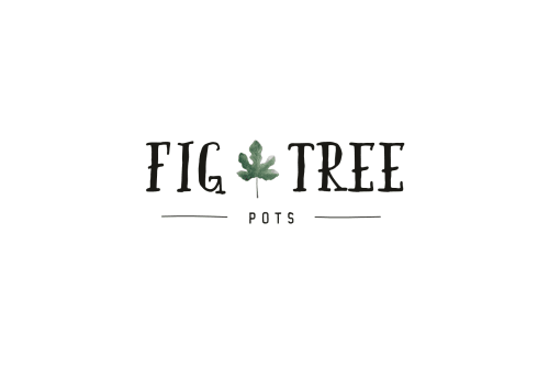 Fig Tree Pots