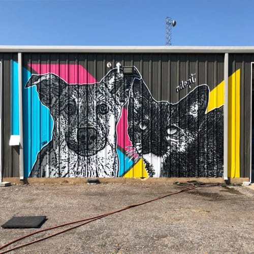 Cat and Dog Mural by DjLu / Juegasiempre seen at CARES Clarksdale ...