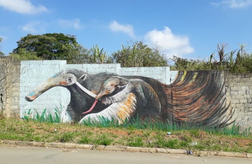 Tamanduá Bandeira | Murals by Vitones