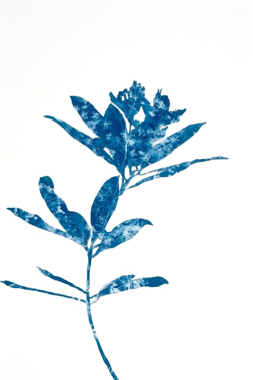 Rhododendron Branch II (18 x 12" cyanotype painting on paper | Watercolor Painting in Paintings by Christine So