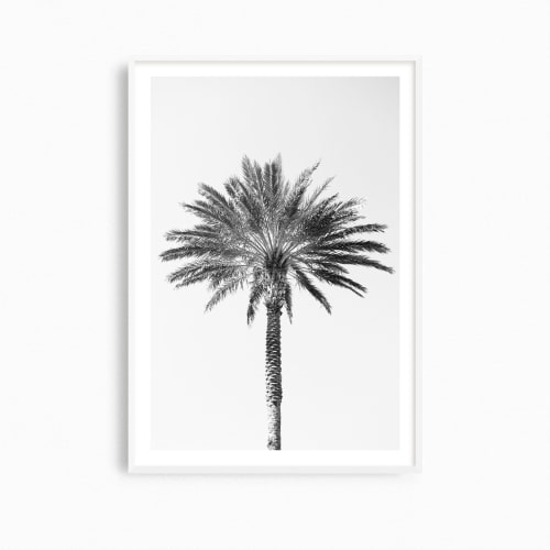 Minimalist black and white 'Palm Tree' photography print | Photography by PappasBland