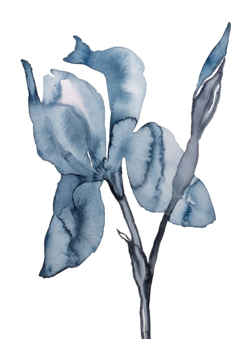 Iris No. 192 : Original Watercolor Painting | Paintings by Elizabeth Becker