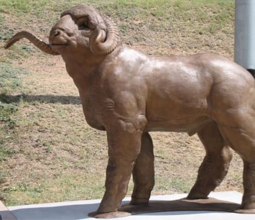 Dominic – The Rambouillet Ram | Public Sculptures by Bob Guelich | Angelo State University in San Angelo