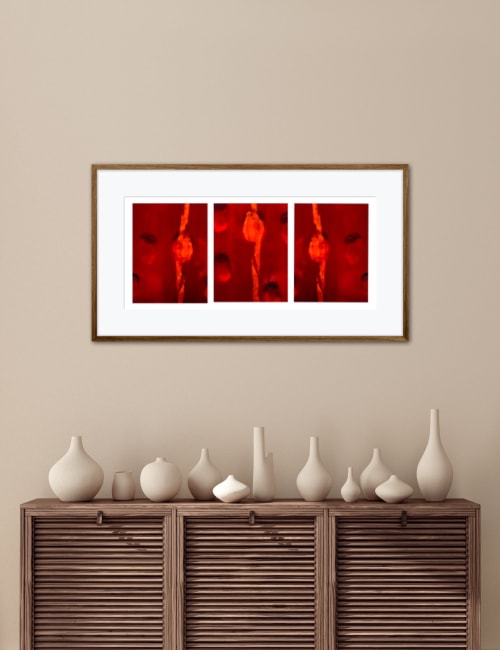 Drops of Jupiter | Photography by Megan Mickael Images