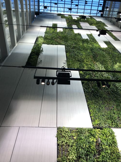Green Wall - Australia's Tallest Indoor Greenwall | Plants & Landscape by Fytogreen Australia | Collins Square in Docklands