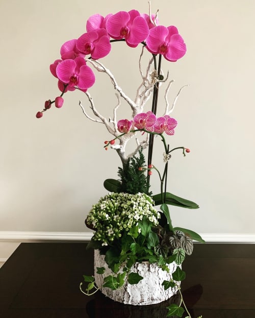 Holiday arrangement | Floral Arrangements by Fleurina Designs