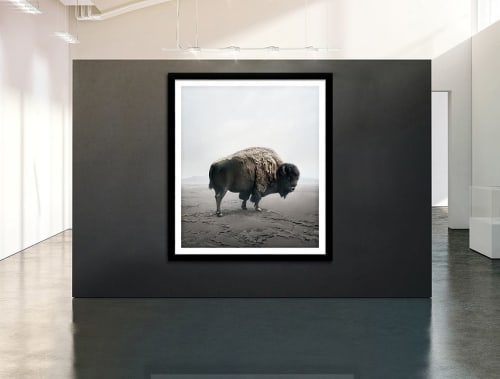 Be Here Bison | Photography by Alice Zilberberg | Toronto in Toronto