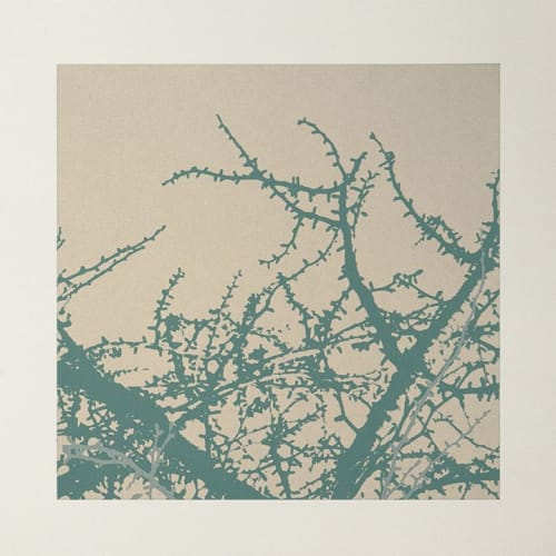 OutGrow #5 | Prints by Phillip Hua