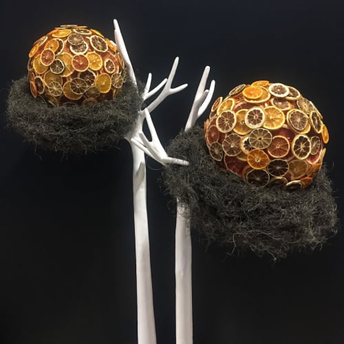Balls of Citrus | Floral Arrangements by EPOCH FLORAL | Chicago in Chicago