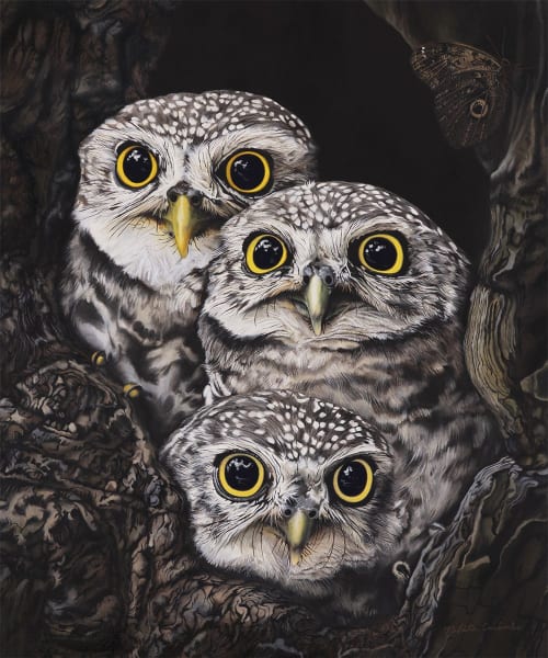 Three Little Owls | Paintings by Nikita Coulombe
