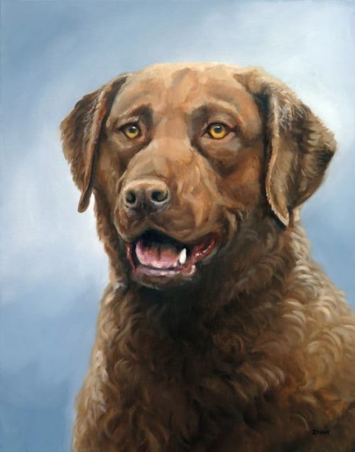 Chesapeake Bay Retriever Portrait | Oil And Acrylic Painting in Paintings by Paws By Zann Pet Portraits
