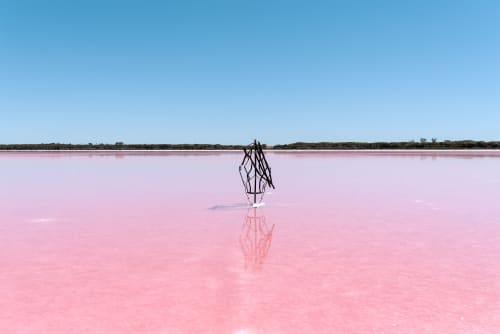 The Beginning | Sculptures by Luke David Designs ` | Pink Lake in Dimboola
