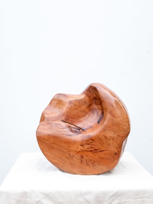 Alexei Sculpture in Spalted Florida Mahogany Wood | Sculptures by Whirl & Whittle | Pooja Pawaskar