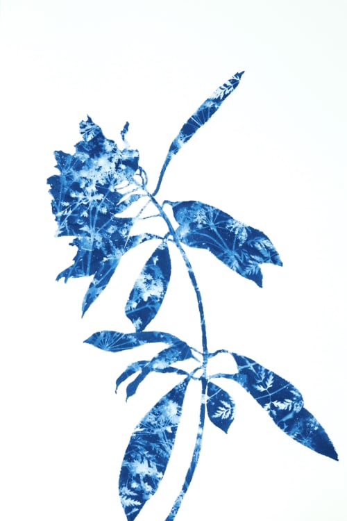 Rhododendron Branch I (18 x 12" cyanotype painting) | Watercolor Painting in Paintings by Christine So