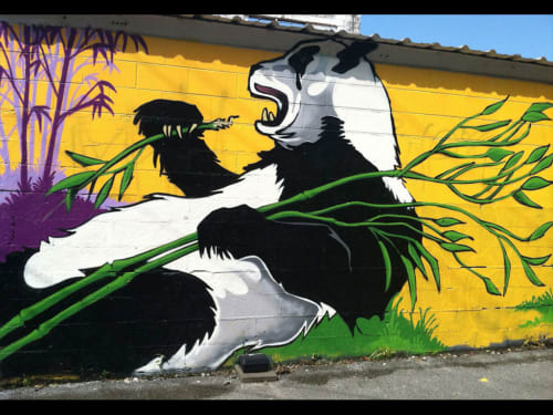 Street Panda | Murals by The Artist SEVEN