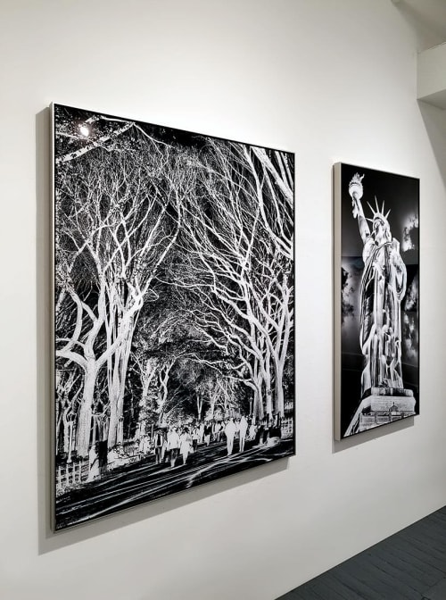 Inverted Central Park | Photography by Andrew Prokos Fine Art Photography
