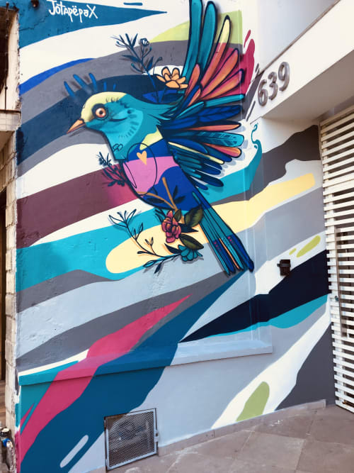 Colorful flight | Murals by Jotape Pax | NERDZ in Centro Histórico
