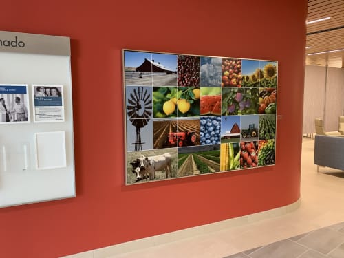 Growing Our Food | Prints by Lisa Levine | Kaiser Permanente Oakland Medical Center in Oakland