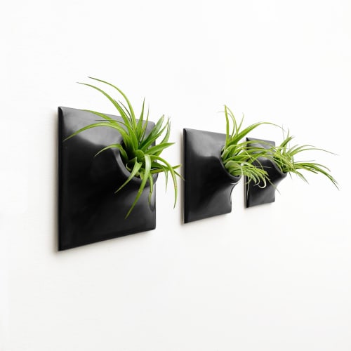 Node S Wall Planter, 6" Modern Plant Wall Set, Black | Plants & Landscape by Pandemic Design Studio