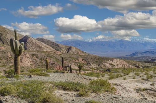 Cactus, Clouds and Mountains of Argentina | Photography by Richard Silver Photo
