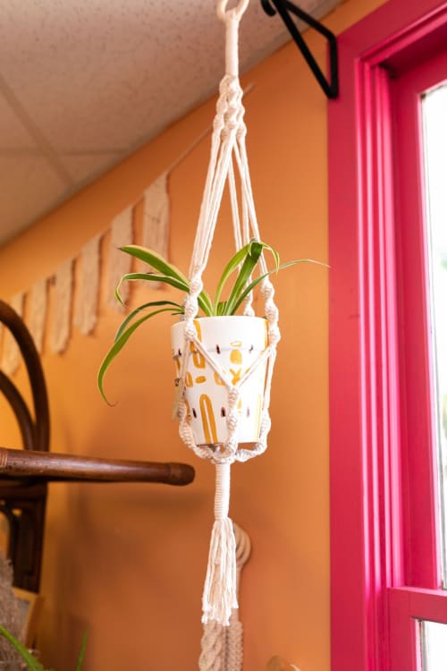 Macrame Plant Hanger | Plants & Landscape by Rosie the Wanderer