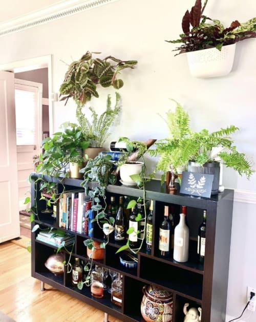 "I'm a fern believer" | Art & Wall Decor by Close Call Studio