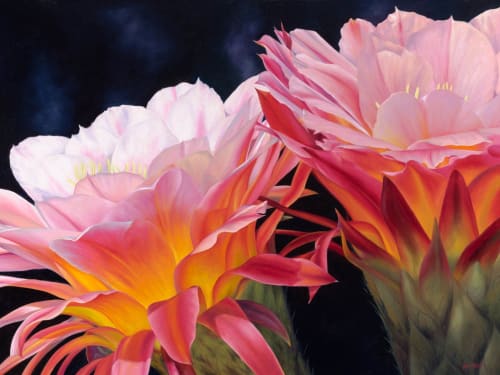 'Desert Fire' Original Oil Painting | Oil And Acrylic Painting in Paintings by Jenny Stewart's Fine Art