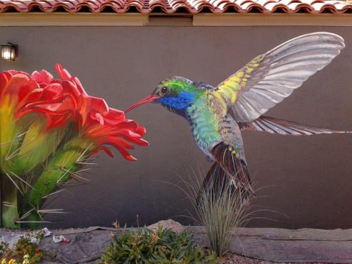 Hummingbird | Murals by Lucretia Torva