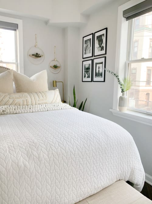 Modern Air Plant Hanger | Plants & Landscape by Braid & Wood Design Studio