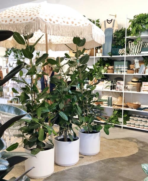 Revival ceramics large cylinder planters | Vases & Vessels by LBE Design | Pigment in San Diego
