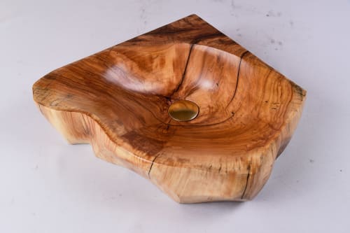 Wood Log Carved Sink | Water Fixtures by Logniture