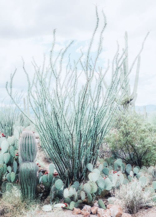 Desert Garden - Turquoise | Photography by Kristin Hart Studios