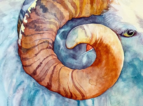 Resilient Ram | Oil And Acrylic Painting in Paintings by Catherine Twomey